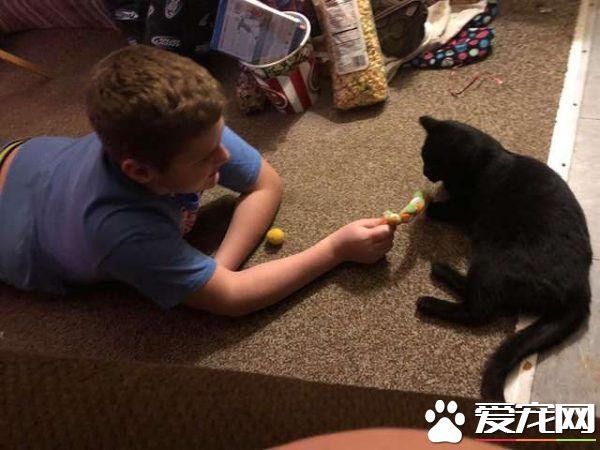 难忘的圣诞礼物! 爱猫男孩收到妈妈准备的惊喜