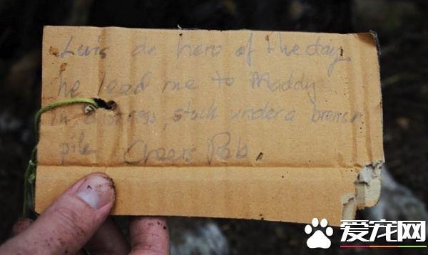 12岁牧羊犬突然走失 原来是救援佳话一则