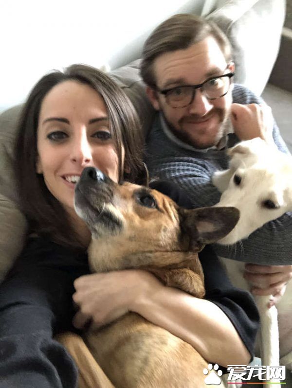 男子出差回家 女友准备的狗狗惊喜超感动