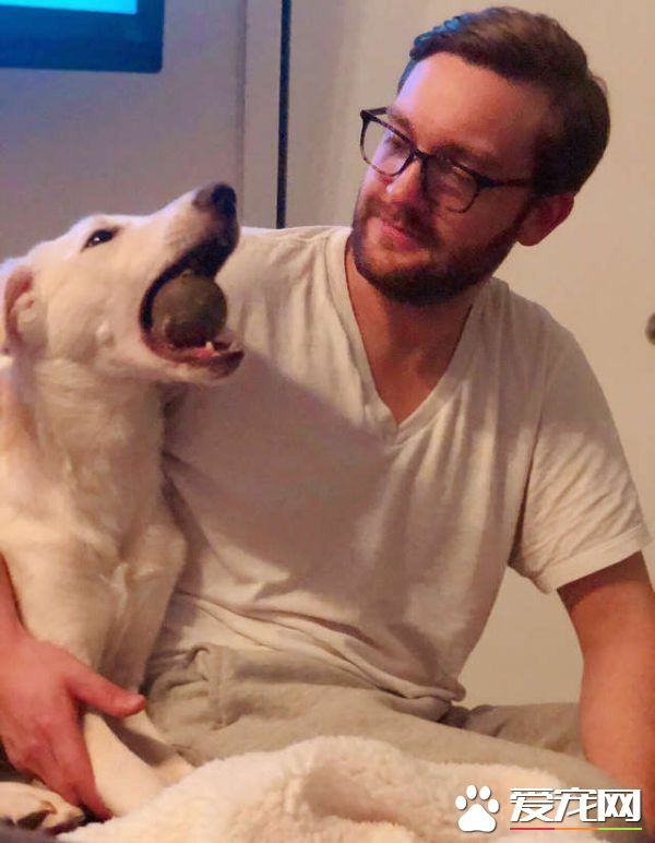 男子出差回家 女友准备的狗狗惊喜超感动