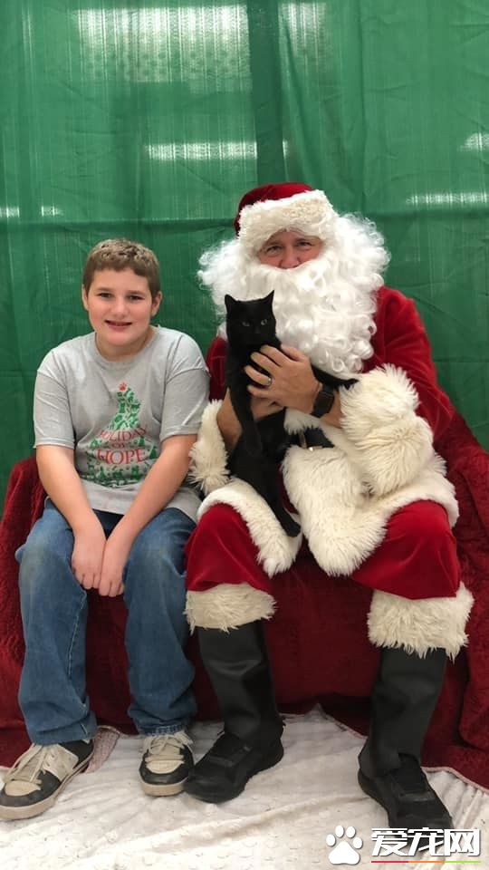 难忘的圣诞礼物! 爱猫男孩收到妈妈准备的惊喜