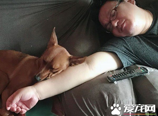 2岁米克斯是爸爸的女儿 完全就是地表上最强小三