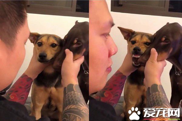 金钟奖得主了这个 汪翻脸比翻书还快