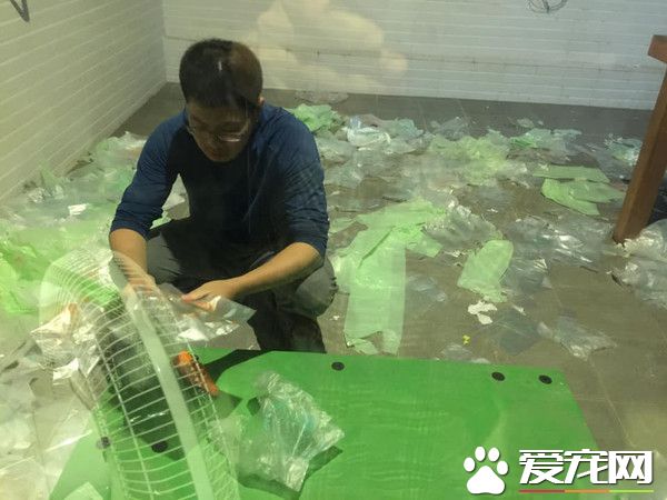 汪将塑胶袋弄满地 正襟危坐露出愧疚表情认错