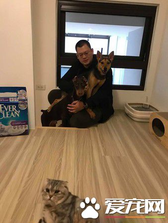 金钟奖得主了这个 汪翻脸比翻书还快