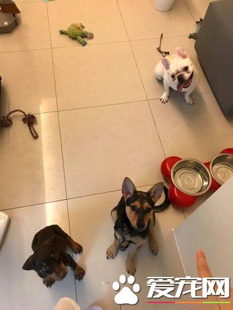 金钟奖得主了这个 汪翻脸比翻书还快