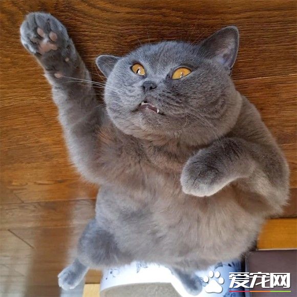 超有趣的无重力照 竟然意外地非常有飘浮感!