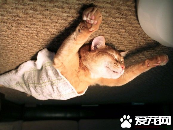 超有趣的无重力照 竟然意外地非常有飘浮感!