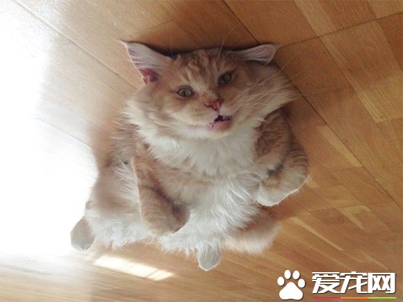 超有趣的无重力照 竟然意外地非常有飘浮感!