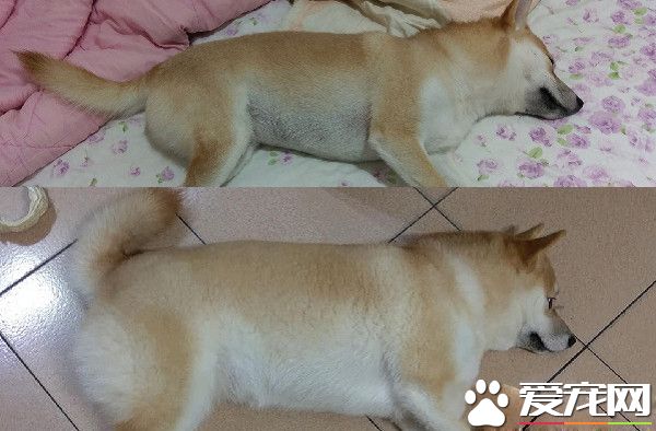 两个月不到增加2公斤 没想到竟长出游泳圈