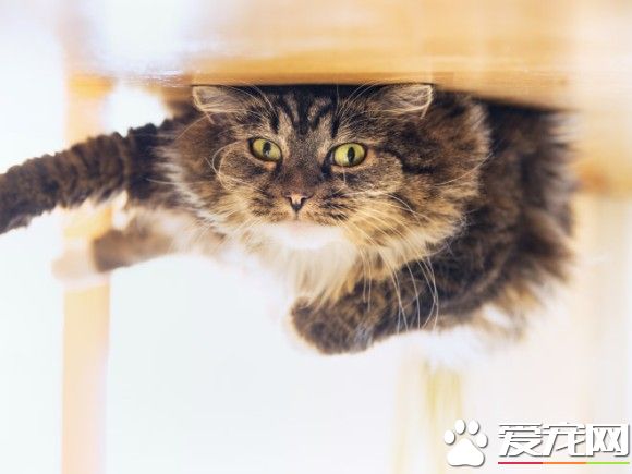 超有趣的无重力照 竟然意外地非常有飘浮感!