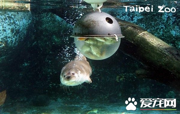 分离2个月水濑一家4口重新团聚 超幸福的氛围