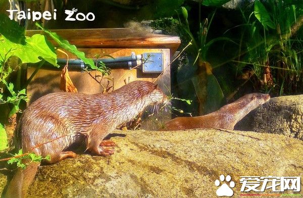 分离2个月水濑一家4口重新团聚 超幸福的氛围