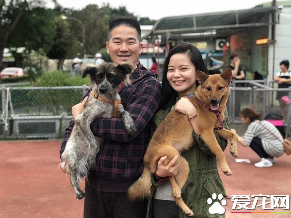 动物之家当志工 找到女友领养毛小孩变一家四口