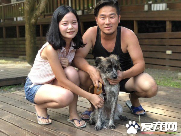 动物之家当志工 找到女友领养毛小孩变一家四口