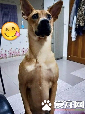 二汪上演十八相送戏码 马麻表示出个门压力太大