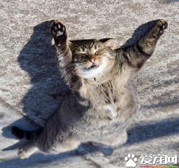 超有趣的无重力照 竟然意外地非常有飘浮感!