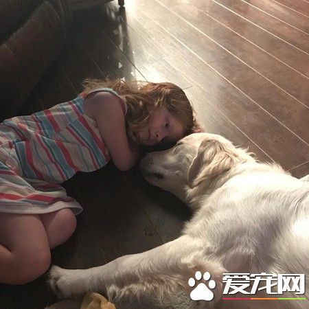 缺臂女孩和缺前脚狗狗 成为幸运鳍伙伴