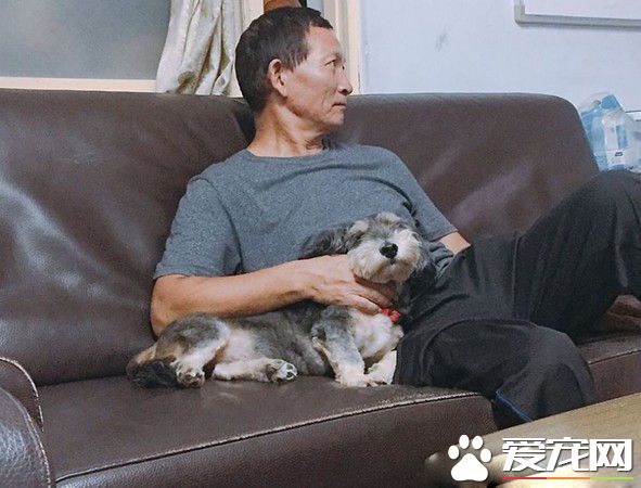 萌狗凭撒娇功夫征服全家 外婆失智只担心狗吃饭没