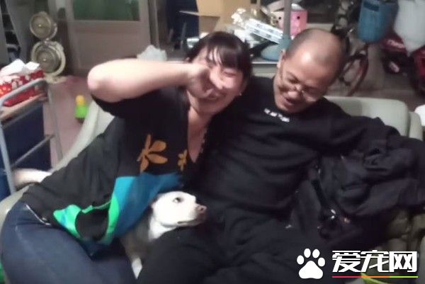 米克斯汪卡位战成功逼走情敌 马麻斗不过可爱小三