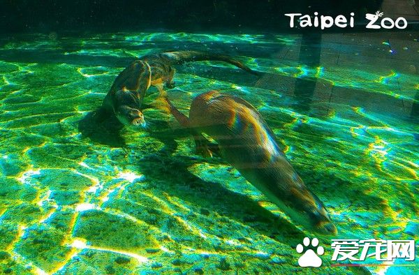 分离2个月水濑一家4口重新团聚 超幸福的氛围