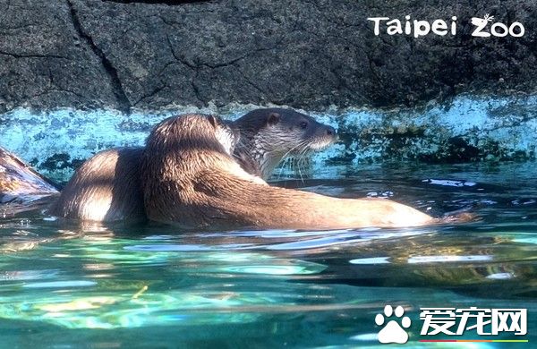 分离2个月水濑一家4口重新团聚 超幸福的氛围