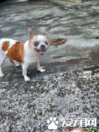 二汪上演十八相送戏码 马麻表示出个门压力太大