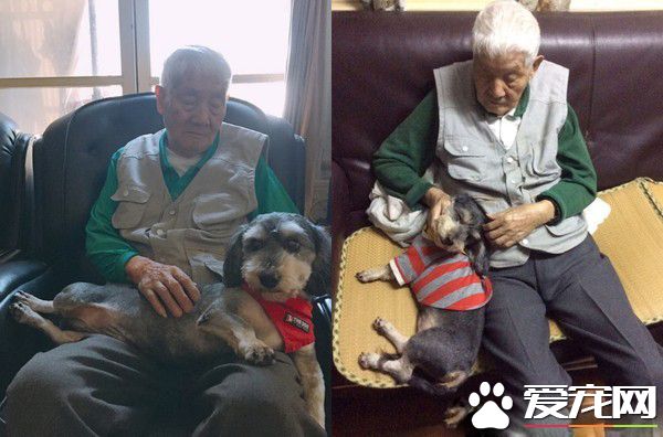 萌狗凭撒娇功夫征服全家 外婆失智只担心狗吃饭没