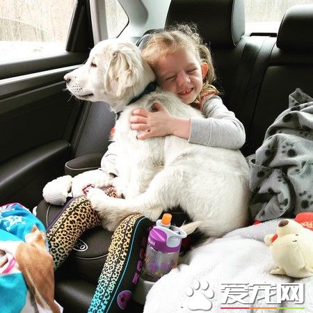 缺臂女孩和缺前脚狗狗 成为幸运鳍伙伴