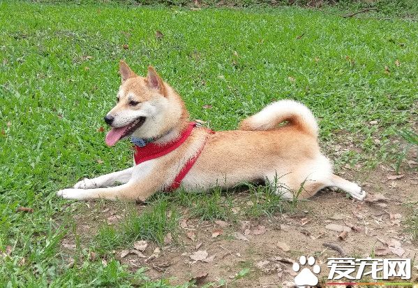 两个月不到增加2公斤 没想到竟长出游泳圈