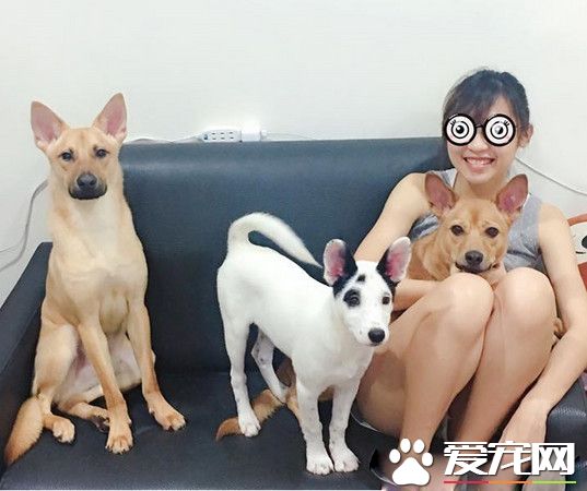 米克斯去医院看医生超乖 离开时发现脚汗狂流