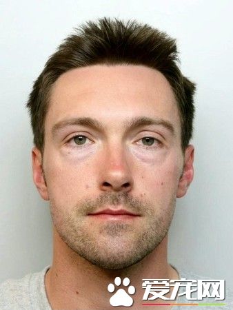 男子因纵火和虐猫罪行 被判入狱3年9个月