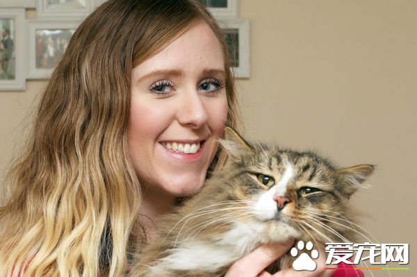 小偷猫离家出走消失 14个月后被发现在宠物食品厂