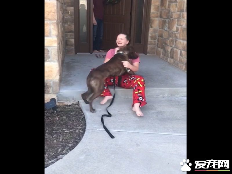 超大惊喜的圣诞礼物 爸妈送女儿最爱的狗狗