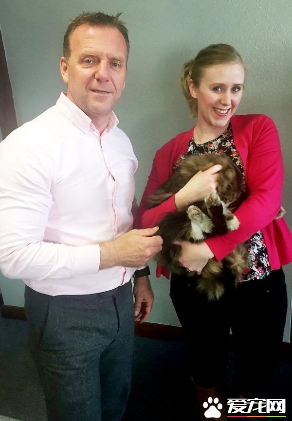 小偷猫离家出走消失 14个月后被发现在宠物食品厂