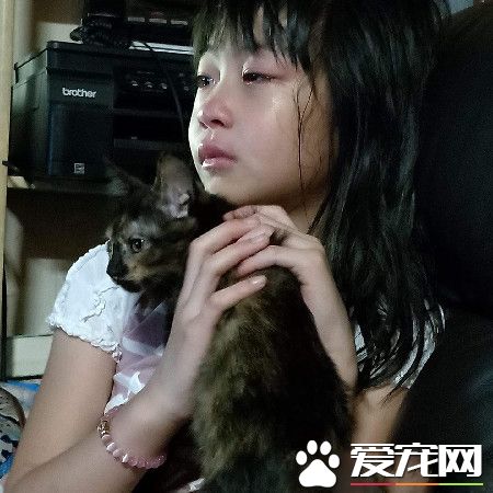 酷酷喵皇秒变深情王子 放闪手段非常高招