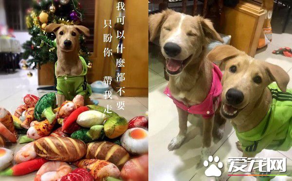 清楚明了的家中地位 平民和奴隶寻找翻身的机会