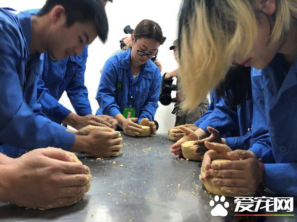 这个怪东西能吃? 试10天熊猫才愿吃水煮蛋