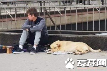 忠心汪护主对警察狂吠 却惨遭开枪射杀