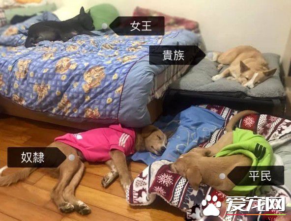 清楚明了的家中地位 平民和奴隶寻找翻身的机会