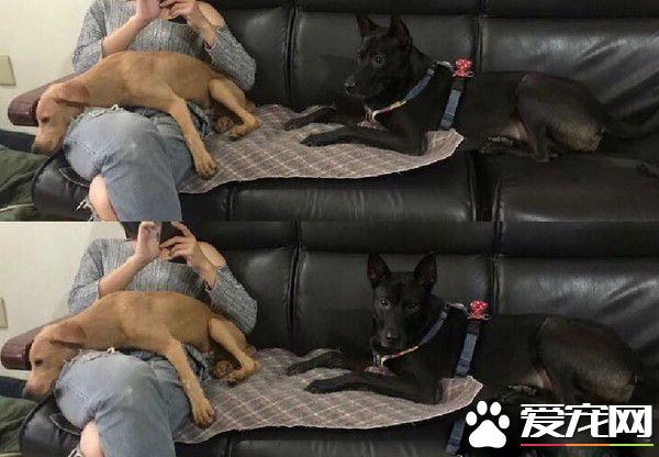 清楚明了的家中地位 平民和奴隶寻找翻身的机会