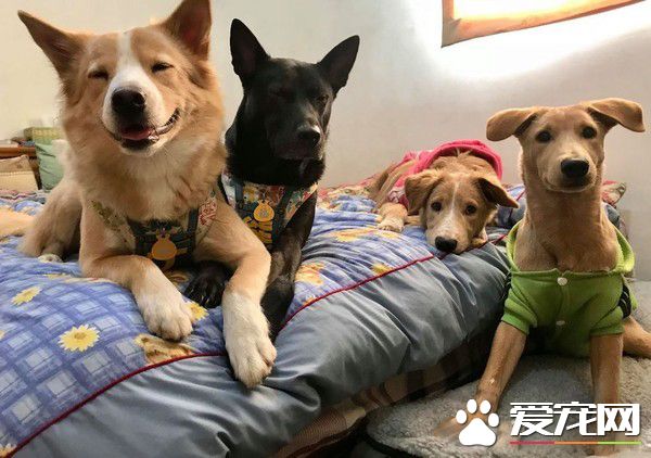 清楚明了的家中地位 平民和奴隶寻找翻身的机会