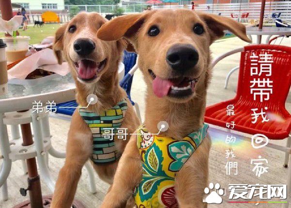 清楚明了的家中地位 平民和奴隶寻找翻身的机会