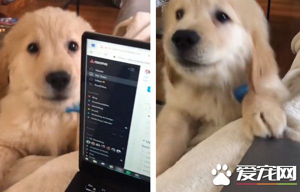 电脑比我重要吗? 金幼霸气关电脑要妈咪陪玩