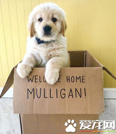 电脑比我重要吗? 金幼霸气关电脑要妈咪陪玩