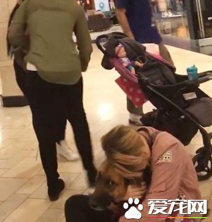 美国一商场日前爆发冲突 女儿摸狗遭拒妈暴怒