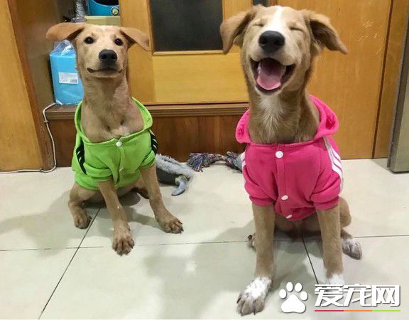 清楚明了的家中地位 平民和奴隶寻找翻身的机会