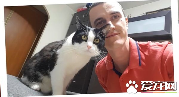 和爱猫自拍合照失败?白俄罗斯猫奴分享合照妙招