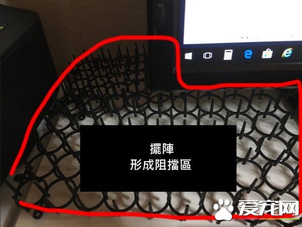 猫奴被主子扰乱工作出大招 成功让猫咪气得牙痒痒