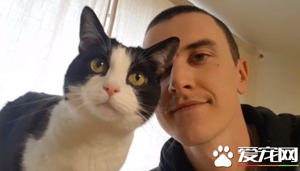 和爱猫自拍合照失败?白俄罗斯猫奴分享合照妙招